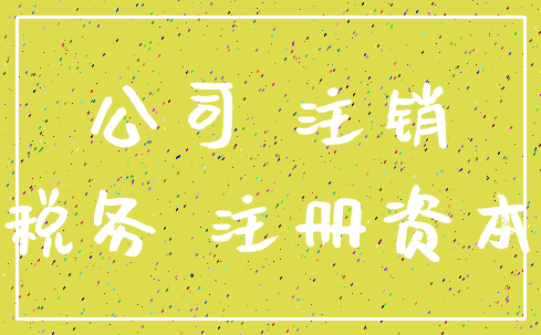 公司 注销_税务 注册资本