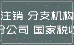 地税分公司注销文书