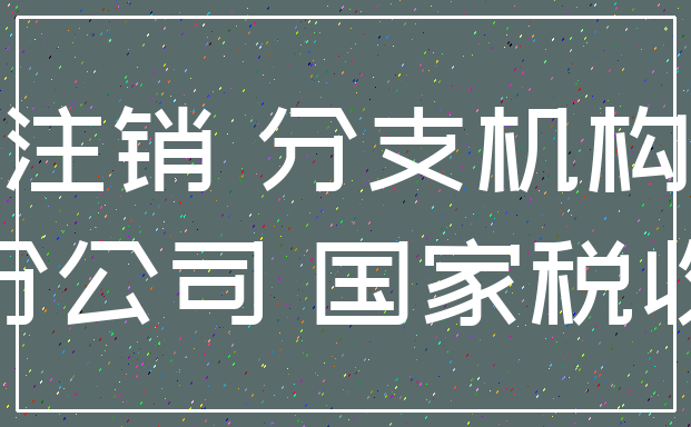 注销 分支机构_分公司 国家税收