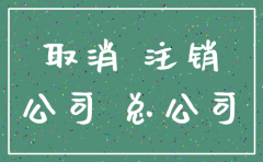 分公司注销要总公司出具证明