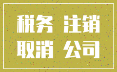 公司注销税务局要办什么手续费