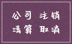 公司注销公示期间 业务