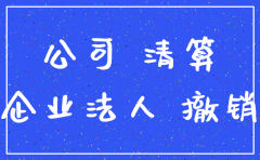 企业公司不到一年可以注销吗