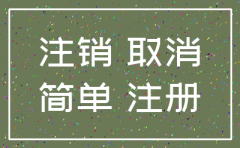 山西省简易注销有限公司程序