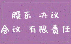 一人公司税务注销股东决议