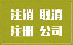 简易注销公司图片要求