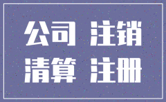 总分公司注销的流程