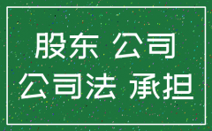 公司注销股东出资额