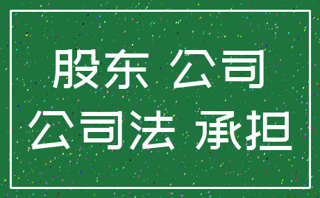 股东 公司_公司法 承担