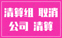 有限责任公司注销流程表