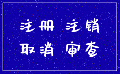 公司强制注销 起诉