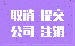 公司注销申请需要提供的资料