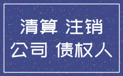 分公司注销经营情况说明怎么写