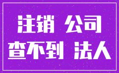 已注销公司查不到