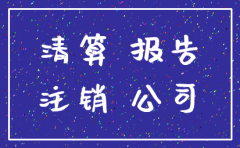新公司注销清算报告