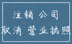 上海市小规模公司注销流程