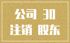 股东未经清算注销公司