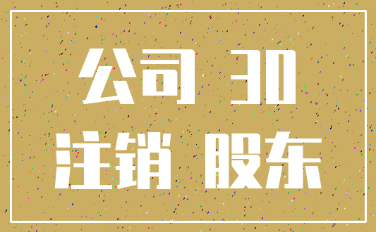 公司 30_注销 股东