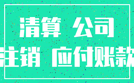 清算 公司_注销 应付账款