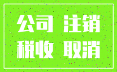 公司税务注销如何查询