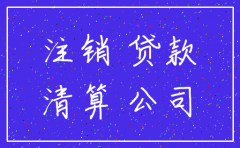 贷款公司注销自查报告
