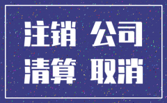 公司注销了多久时间可以开公司