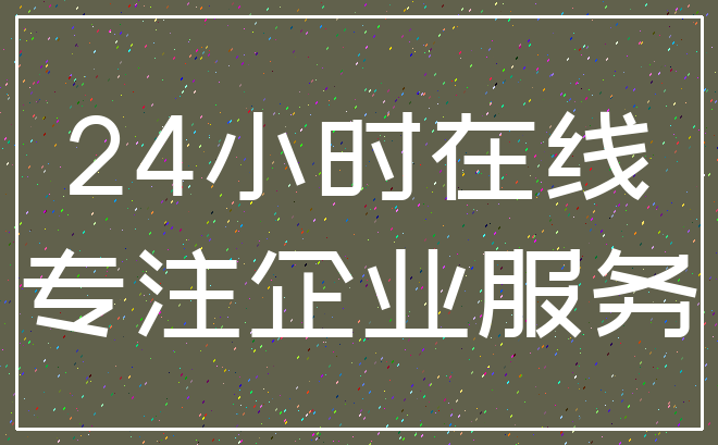 24小时在线_专注企业服务