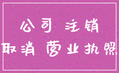 新公司注册就要注销需要啥