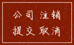 湖南公司注销表格