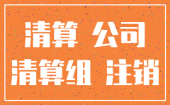 公司注销后股东分配报告