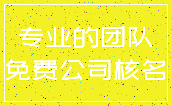 专业的团队_免费公司核名