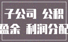 注销子公司的投资收益的抵消