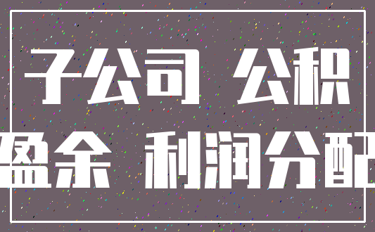 子公司 公积_盈余 利润分配