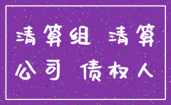 公司注销股东能是清算员吗