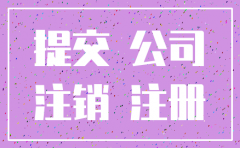 分公司注销所需文件以及流程