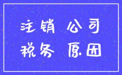创律集团有限公司注销的原因