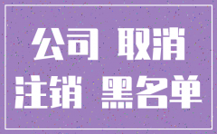 公司强制注销后果严重