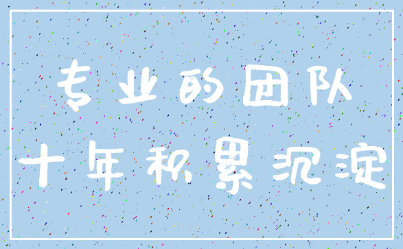 专业的团队_十年积累沉淀