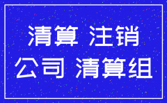 公司注销清理报告