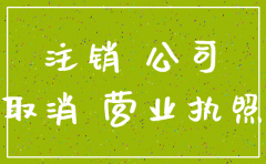 没有备案的公司注销吗