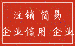 国家企业信用公示注销公司