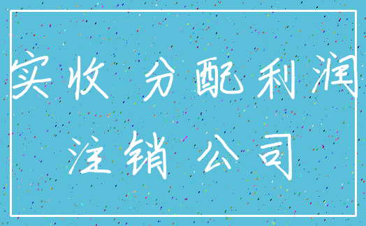 实收 分配利润_注销 公司