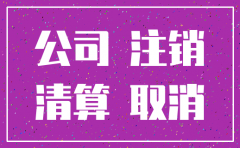 注销公司委托情况说明书
