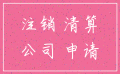 注销投资类公司申请表