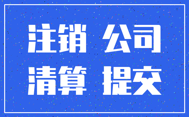 注销 公司_清算 提交