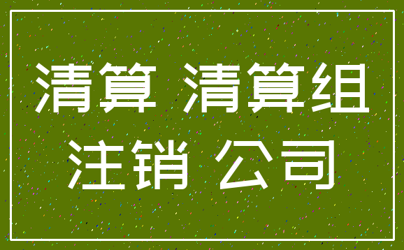 清算 清算组_注销 公司
