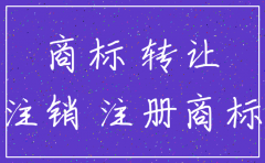 公司法公司名称注销