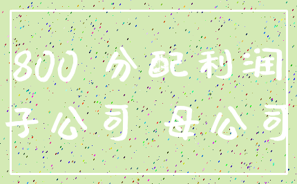 800 分配利润_子公司 母公司
