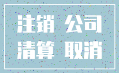 有限公司注销的理由