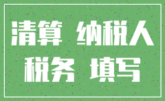 注销公司清算所得税申报表